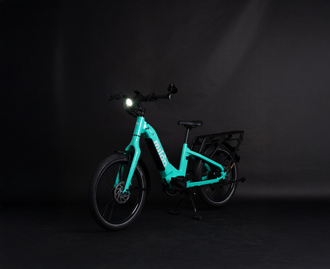 🚲🇨🇭 New E-Bike & Cargo Bike Regulations in Switzerland Starting July 2025 ! What You Absolutely Need to Know