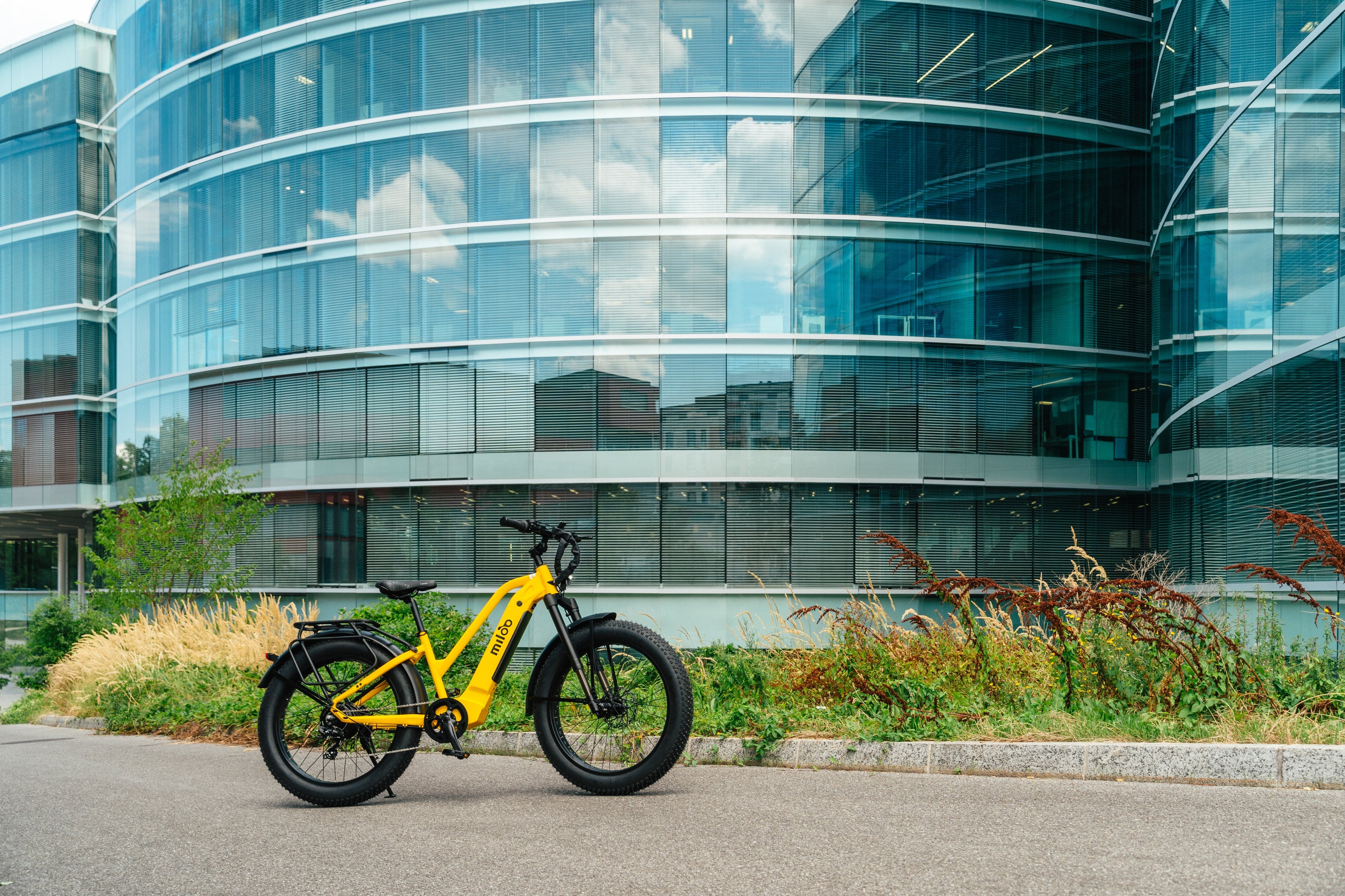 Mighty Beast 25km/h: the boldest and most powerful urban electric fatbike on the market ⚡