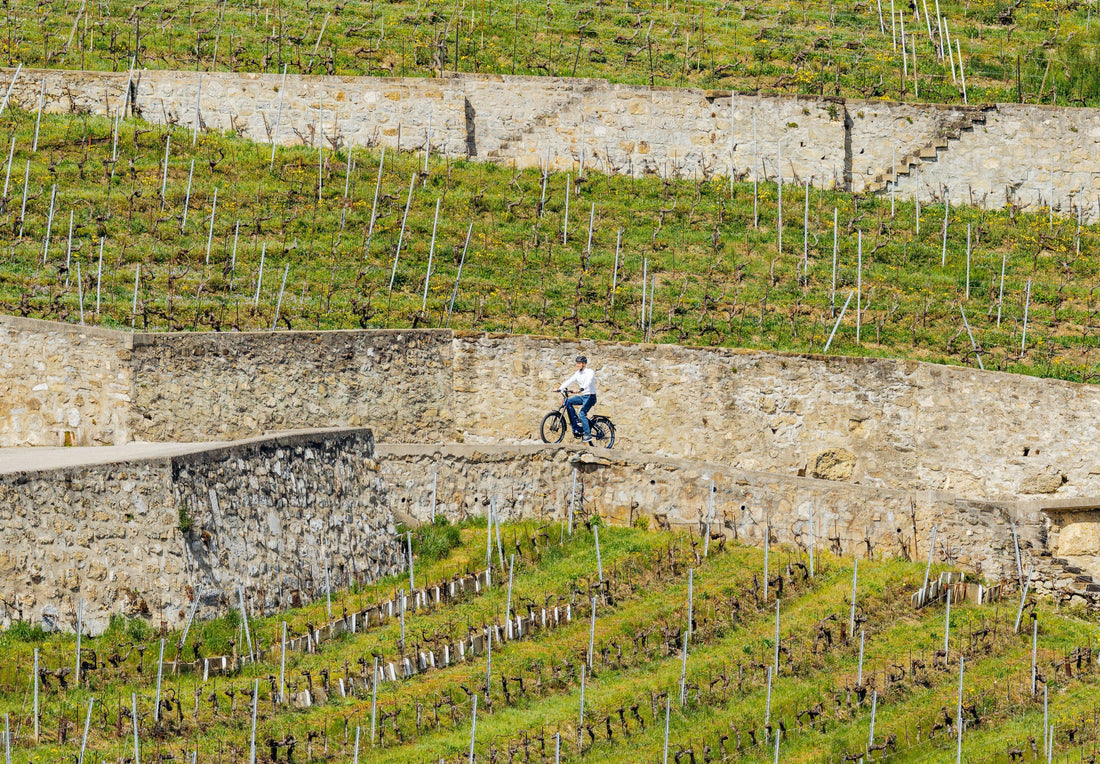 🔎📍 E-Bike & Cargo Bike Subsidies in Vaud: 2025 Guide