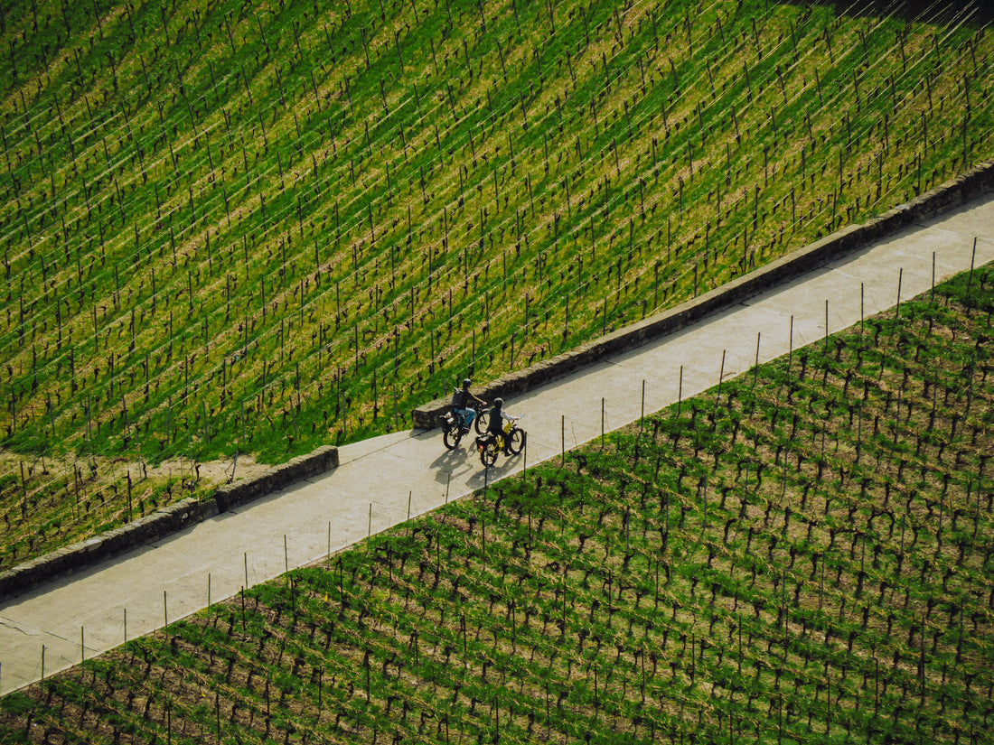 Montreux Jazz Festival: rent a MILOO bike to reach the festival 🎷🚲
