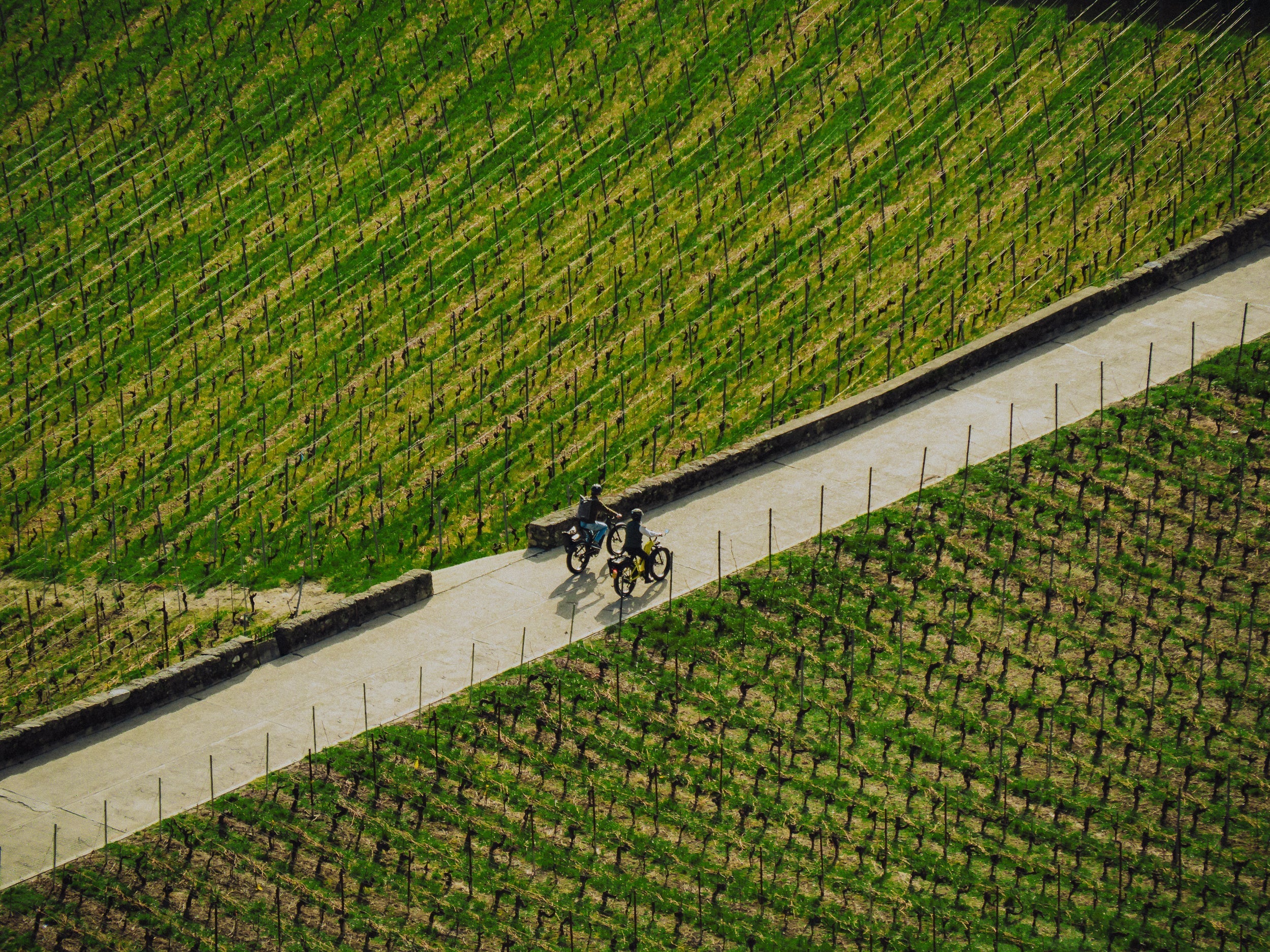 Montreux Jazz Festival: rent a MILOO bike to reach the festival 🎷🚲