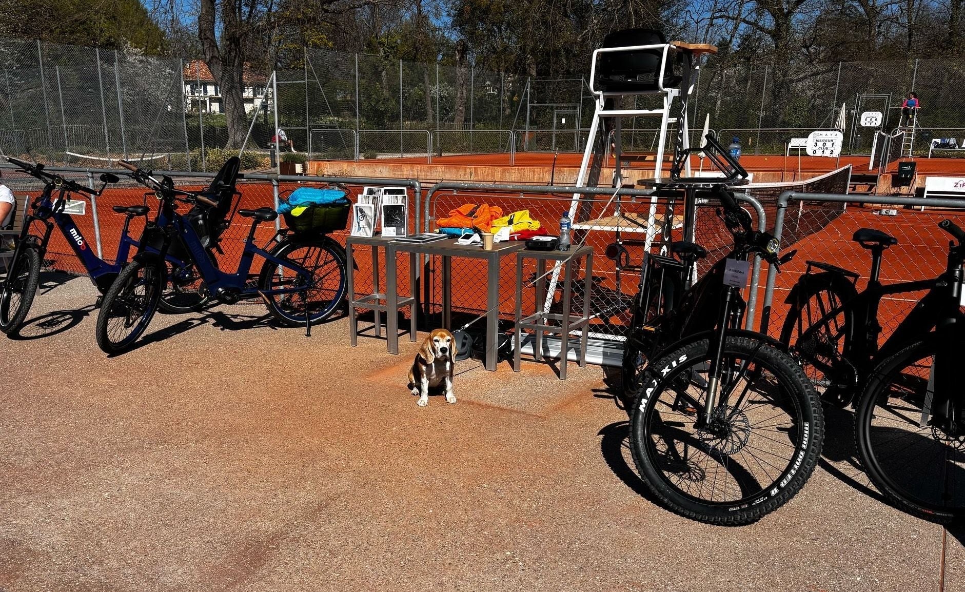 Miloo celebrates women’s strength and elegance at the ‘Queens of the Court’ tournament 🎾👑