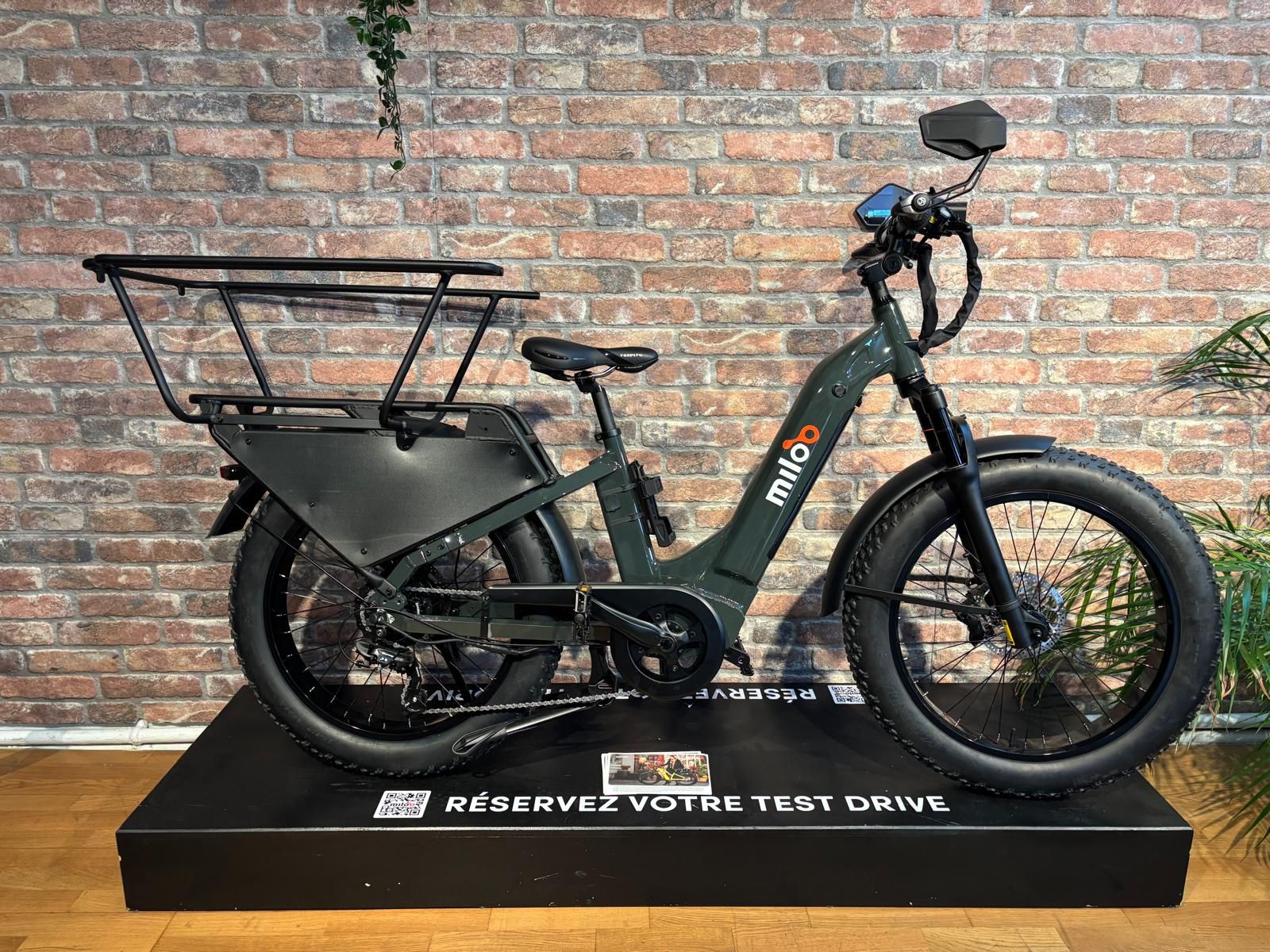 Cargo Beast 45km/h 2024 - 658km