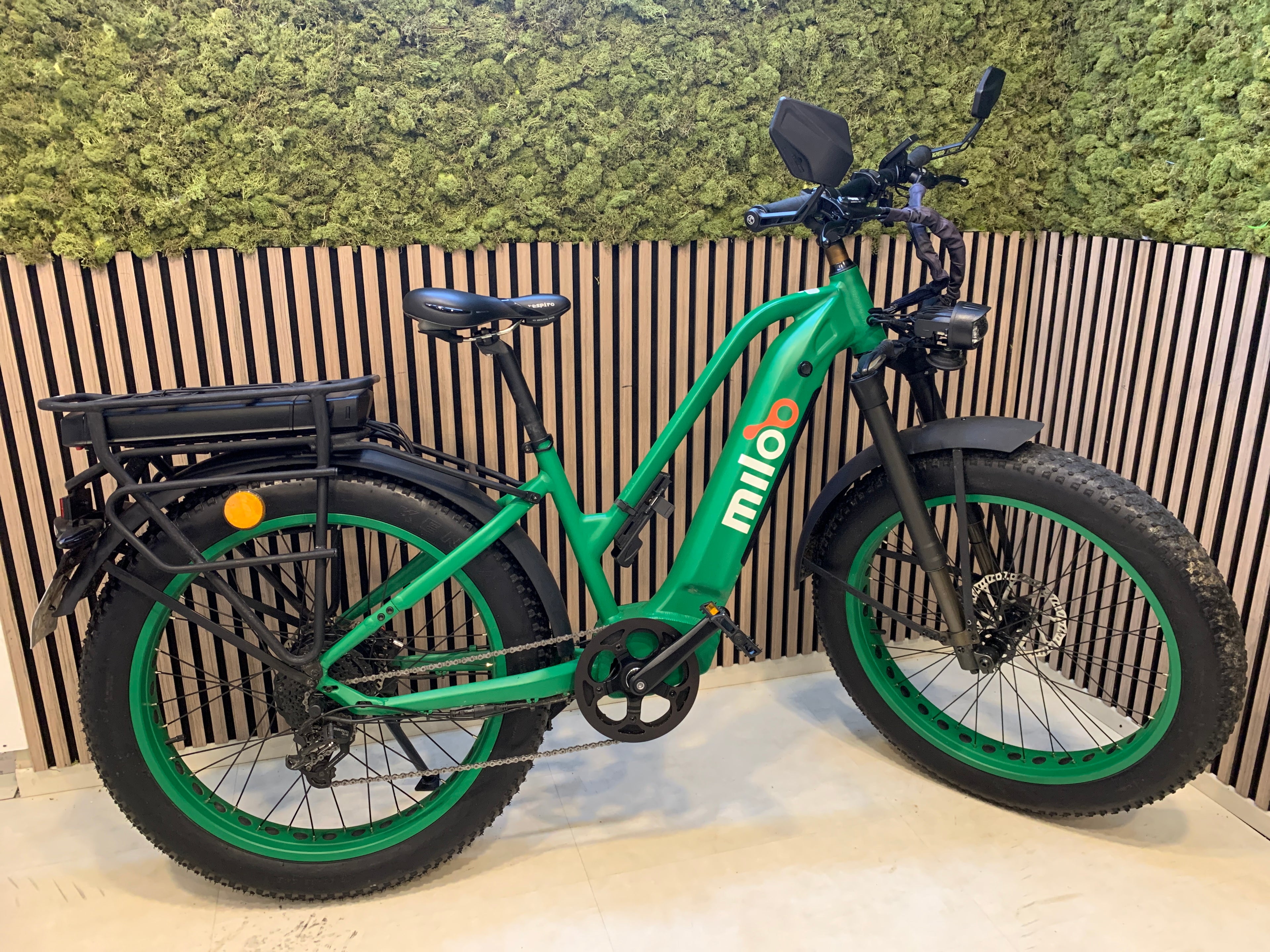Mighty Beast 45km/h Easy Access - 675km