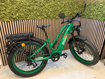 Mighty Beast 45km/h Easy Access - 1710km
