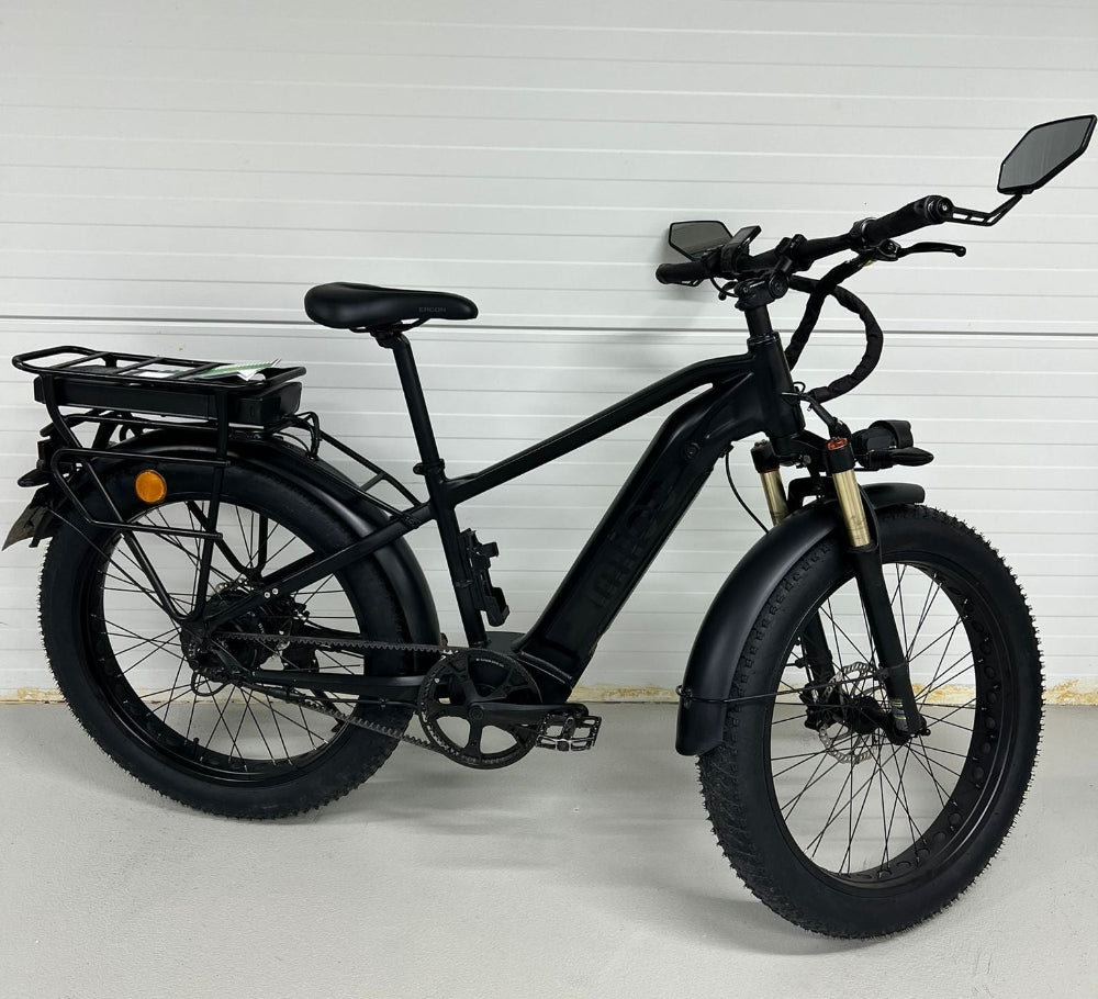 Mighty Beast 45km/h High Bar - 3182 km