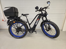 Mighty Beast 45km/h Easy Access 2024 - 6120 km