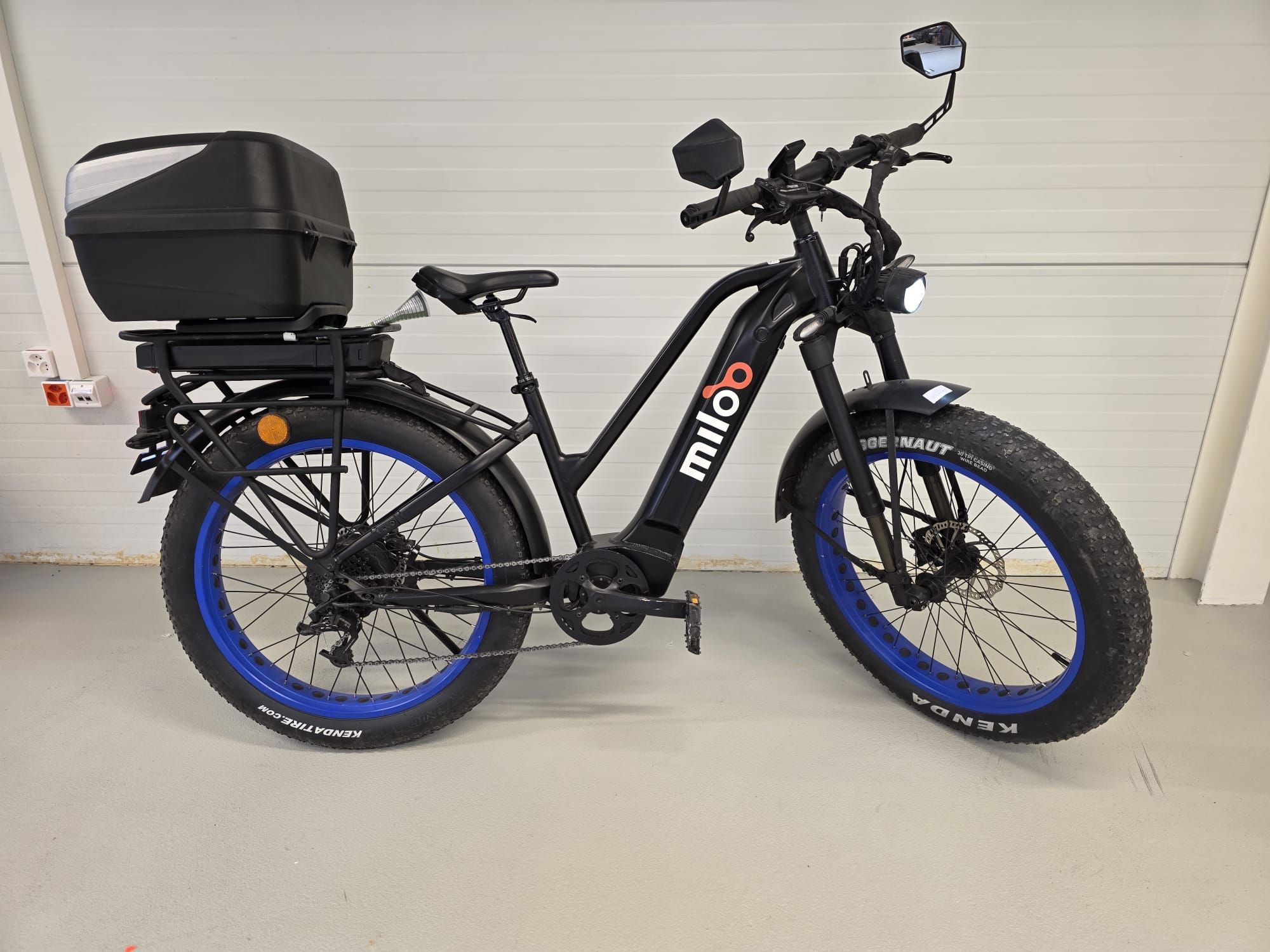 Mighty Beast 45km/h Easy Access 2024 - 6120 km