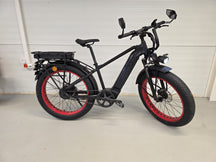 Mighty Beast 45km/h High Bar 2024 - 15304 km