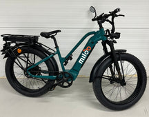 Mighty Beast 45km/h Easy Access - 851 km