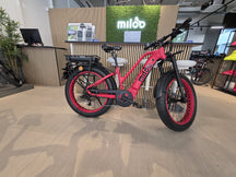 Mighty Beast 45km/h Easy Access - 1834km