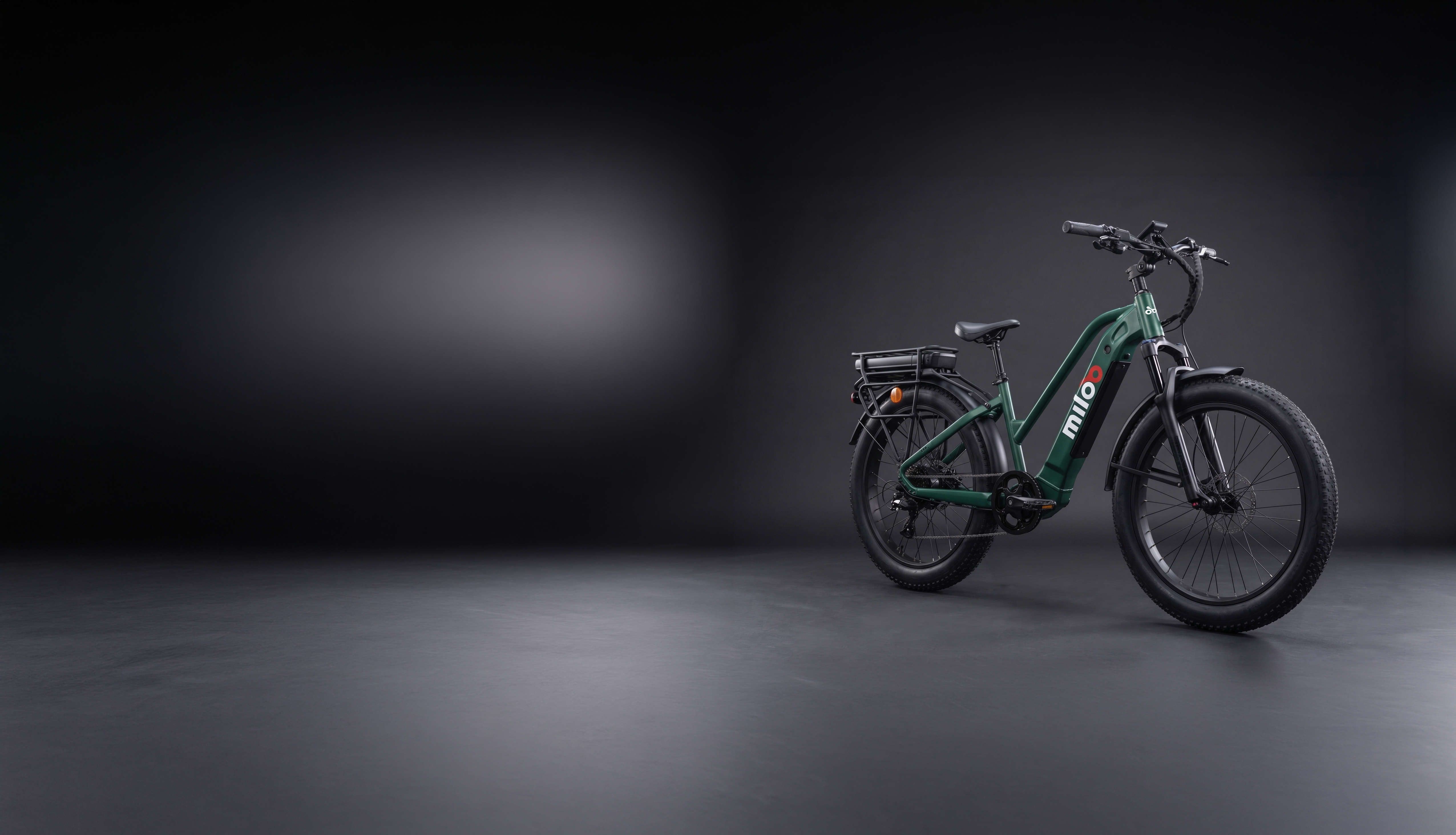 e bike trekking 45 km h Mighty Beast 45km/h – Miloo