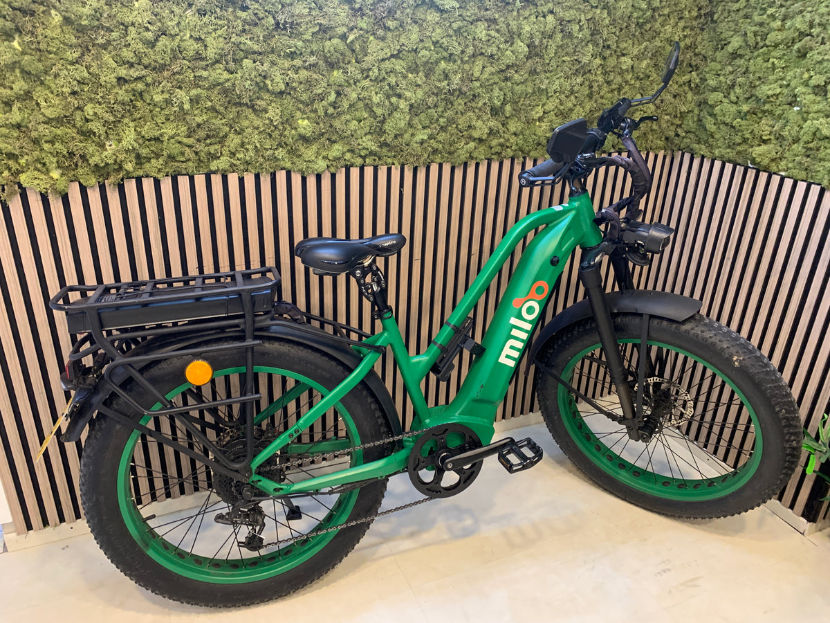 Mighty Beast 45km/h Easy Access - 1710km