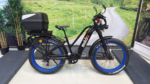 Mighty Beast 45km/h Easy Access 2025 - 6120km