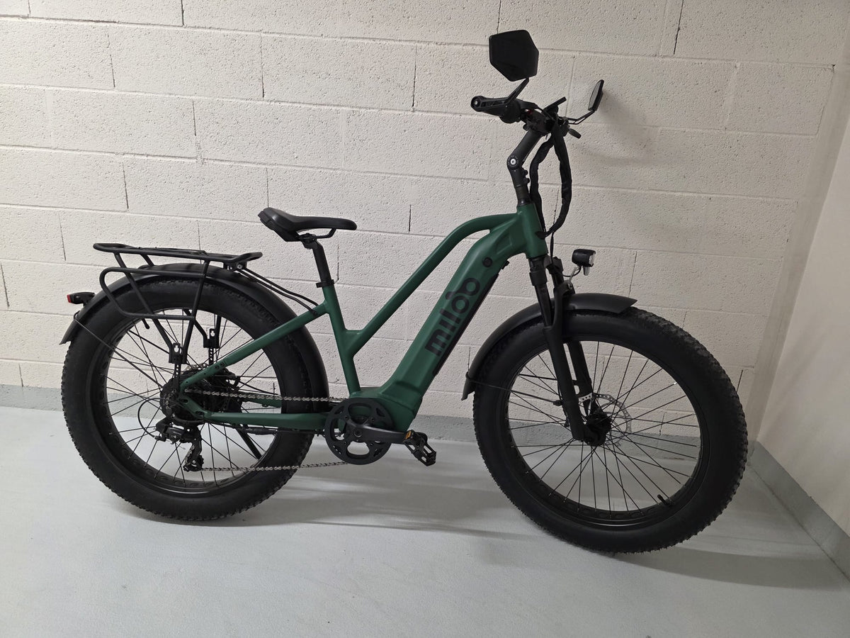 Classy Beast 25km/h 2023 - 3239km