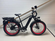 Mighty Beast 45km/h High Bar 2024 - 15304 km
