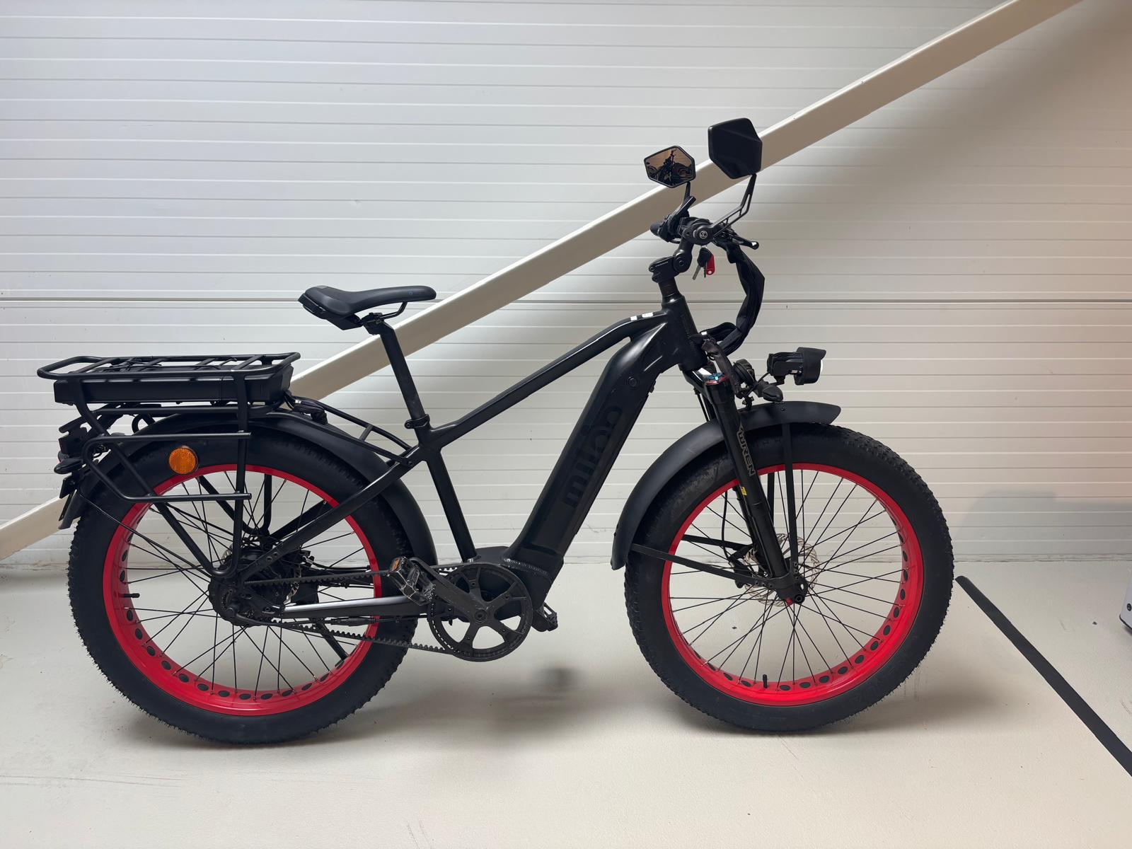 Mighty Beast 45km/h High Bar 2024 - 15304 km