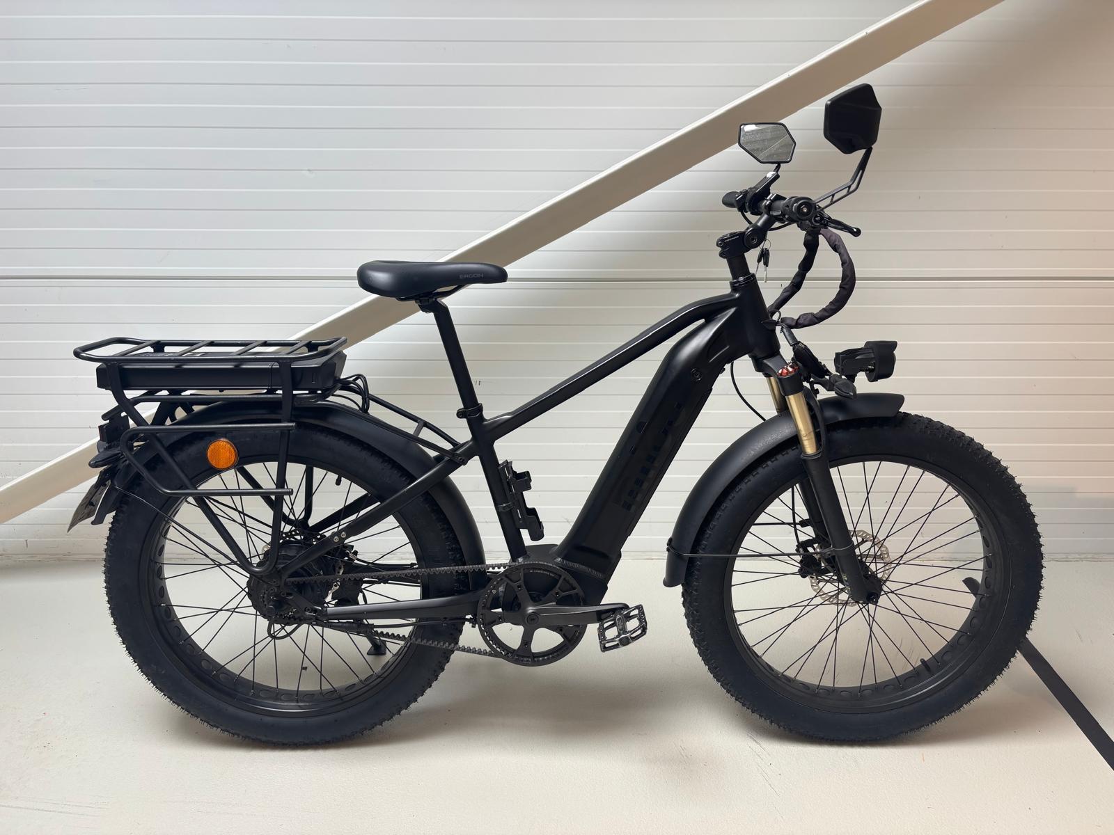 Mighty Beast 45km/h High Bar - 3182 km