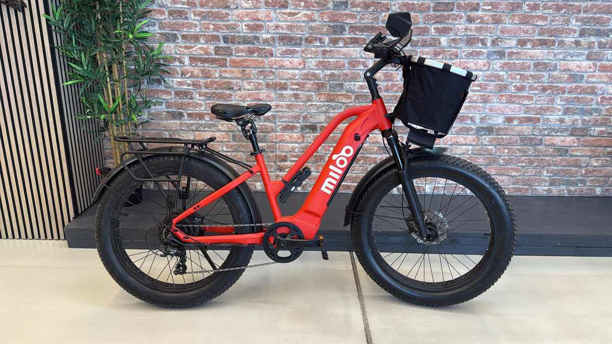 Mighty Beast 45km/h Easy Access -334km