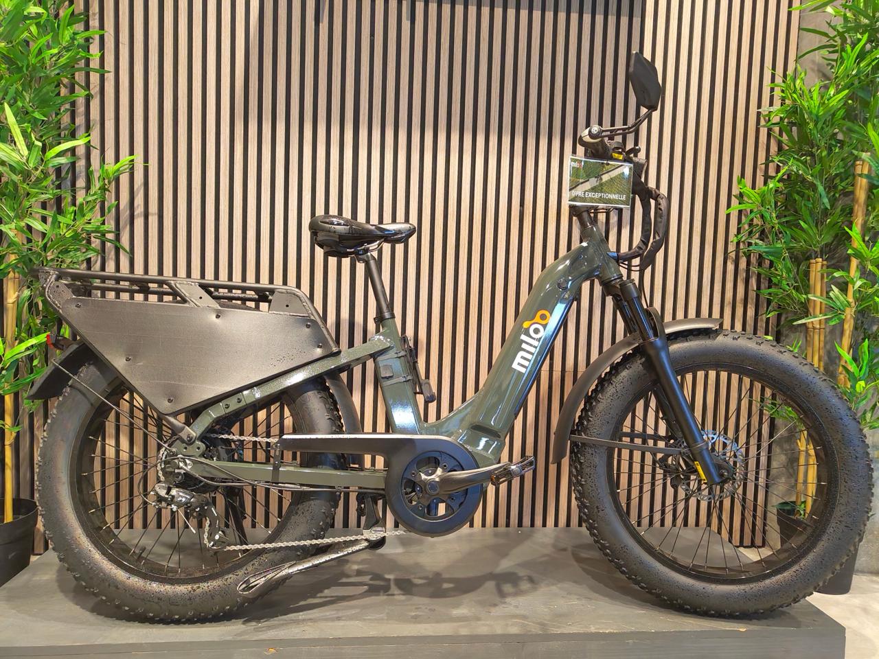 Cargo Beast 25km/h 2024 - 6km