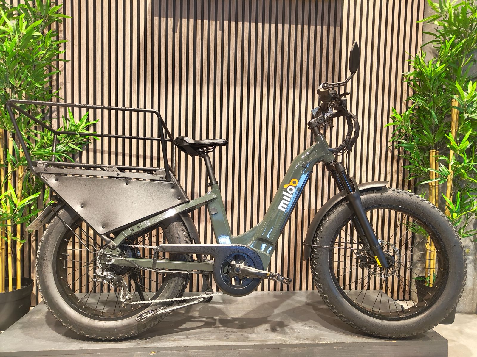 Cargo Beast 45km/h 2024 - 1151km