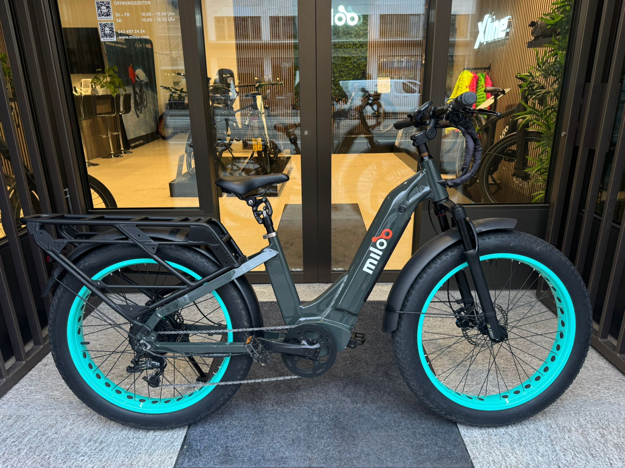 Classy Beast 25km/h 2024 - 2850km