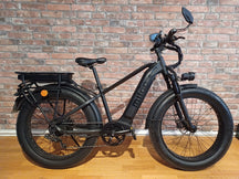 Mighty Beast 45km/h High Bar - 1001km