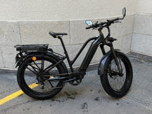 Mighty Beast 45km/h High Bar - 629km