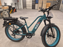 Mighty Beast 45km/h Easy Access - 2163km