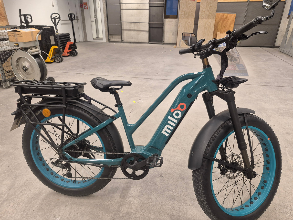Mighty Beast 45km/h Easy Access - 2163km